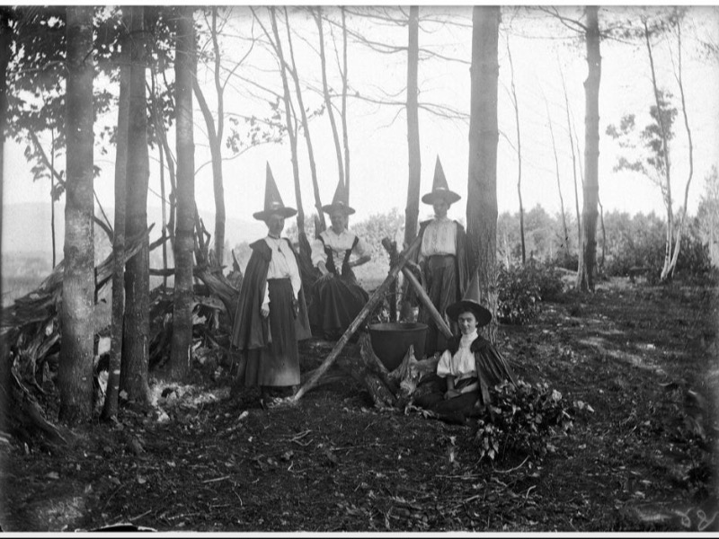 FL Oneshot. El bosque de las brujas. 🧙‍♀️